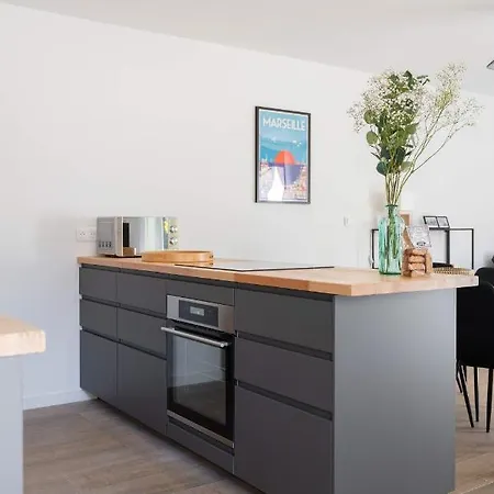 La Maison Du Parc I Standing 3 8 Pers Parking Clim Wifi Velodrome Holiday home